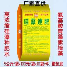 硅藻速肥 肥水氨基酸膏 肥水硅藻种硅肥养鱼虾蟹渔肥养