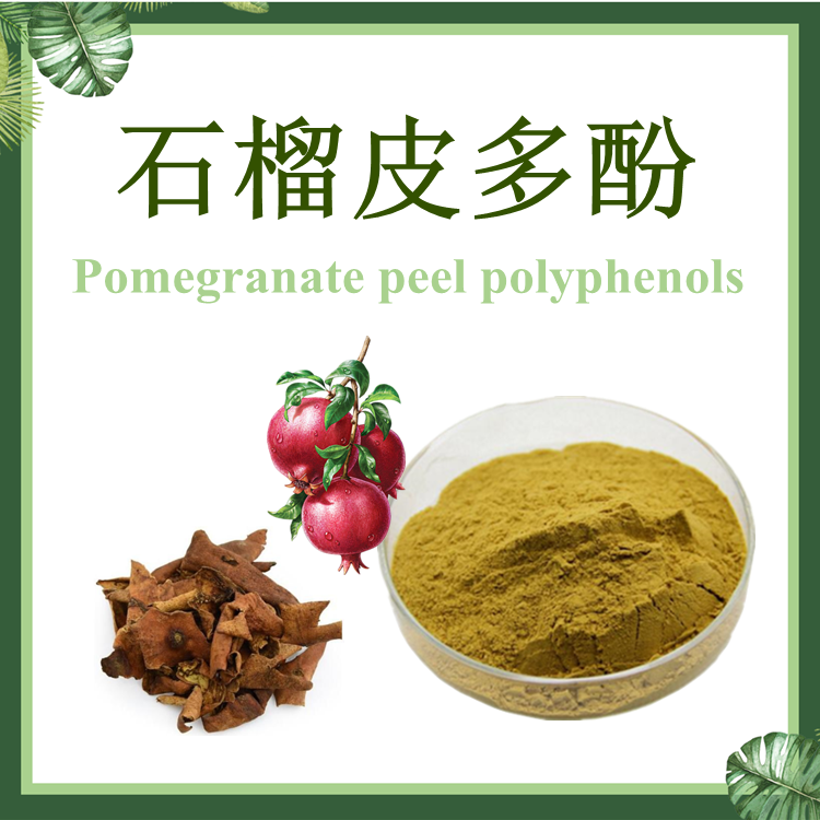 石榴皮提取物 SC厂家 石榴皮鞣花酸 石榴皮多酚20% 40% 60%