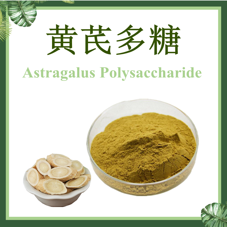 黄芪多糖纯粉 黄芪多糖98% SC厂家 黄芪提取物