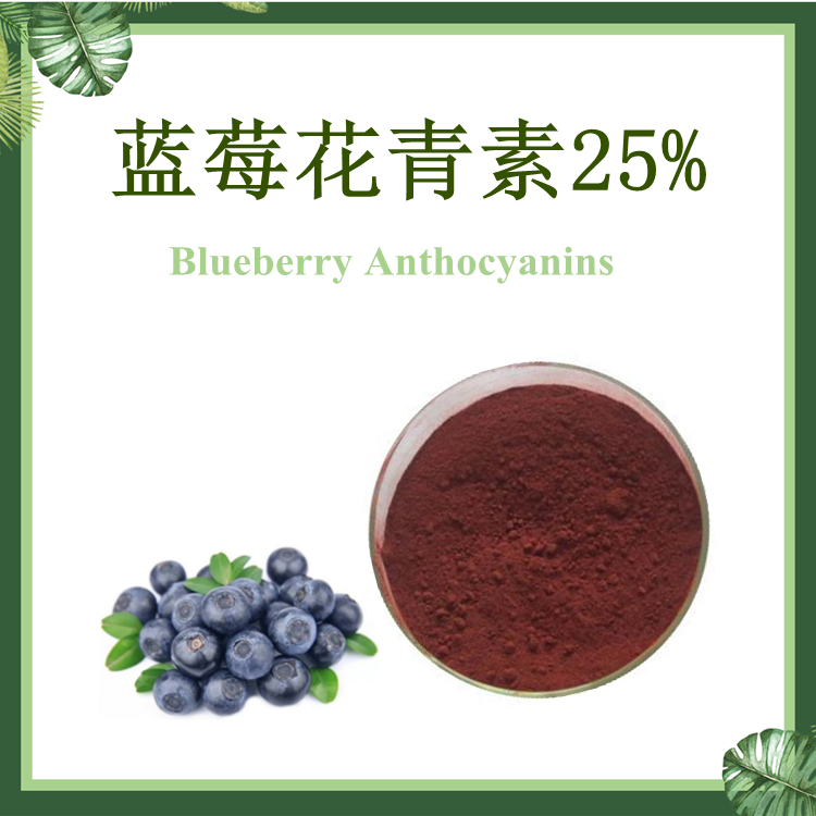 蓝莓提取物 花青素25% SC厂家 越橘花青素