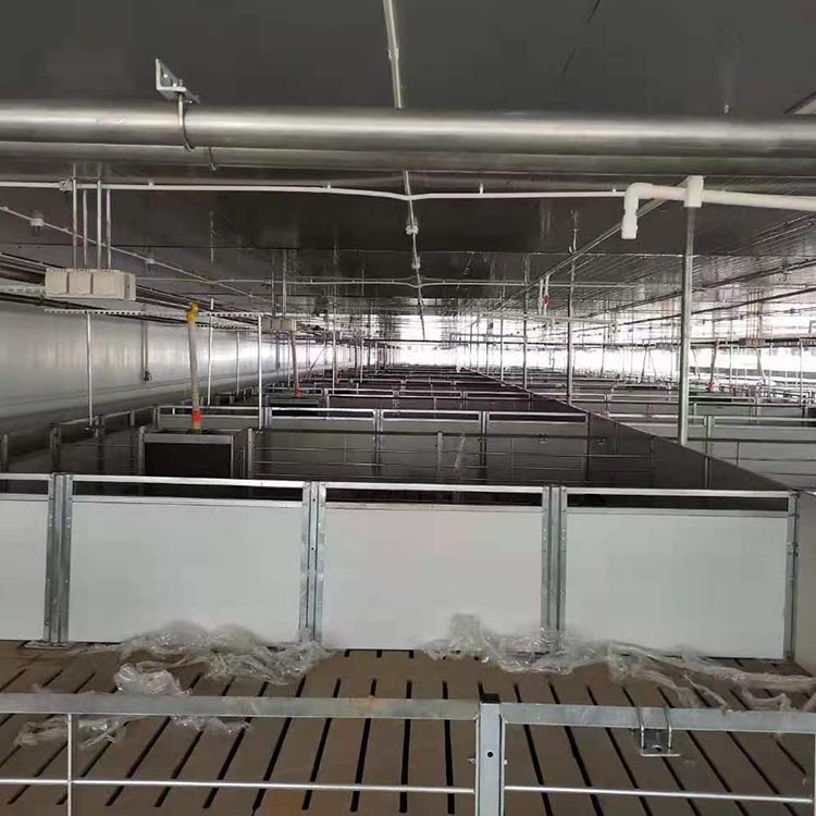 按需供应 保育育肥猪用水泥漏粪板 猪用水泥漏粪板 产床漏粪板 服务贴心