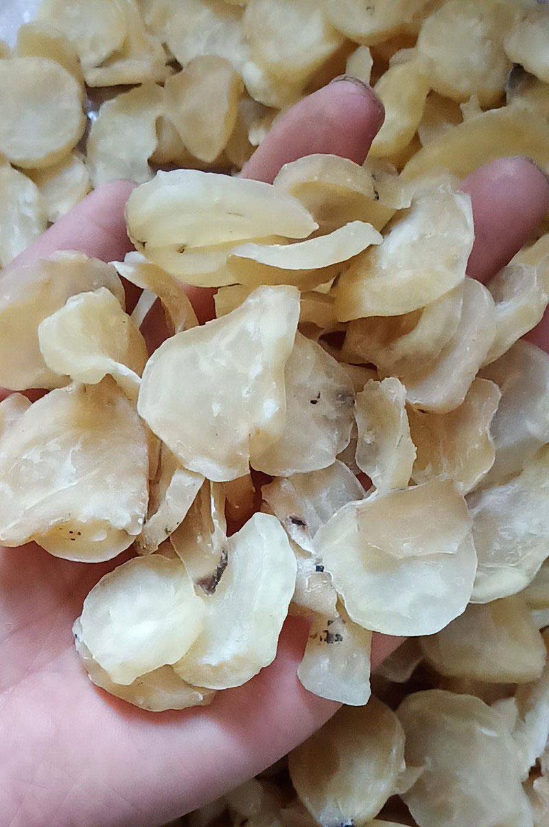 白附片供应正规 白附片批发零售 白附片价格 白附片中药材批发零售 白附片多少钱一斤
