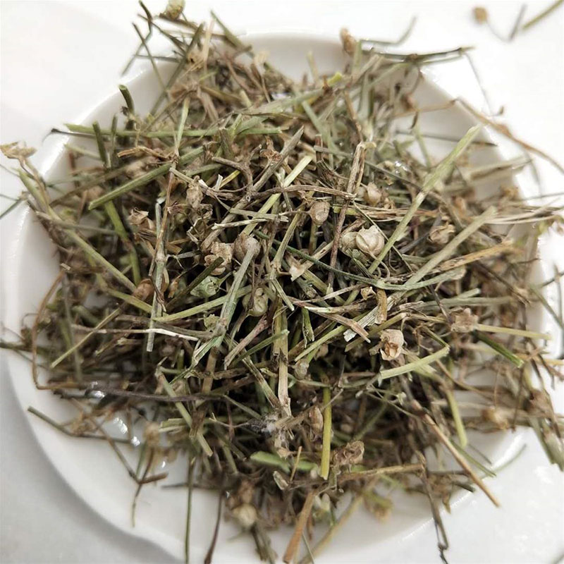 白花蛇舌草产地批发 白花蛇舌草中药材批发零售 常年供应白花蛇舌草 白花蛇舌草量大从优