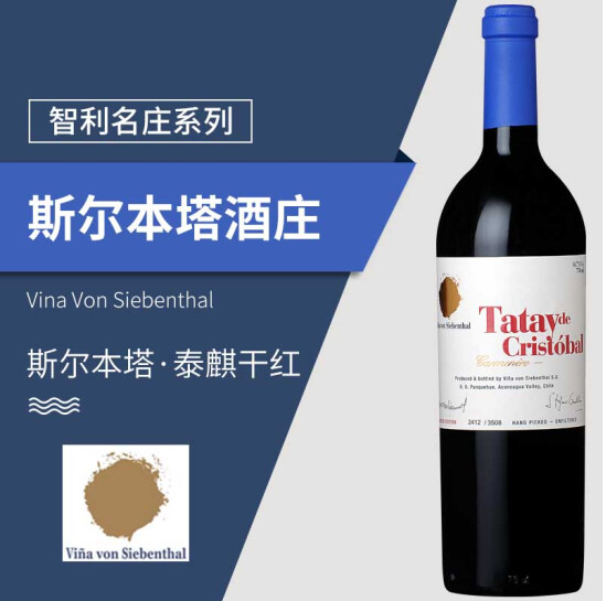 智利十八罗汉系列红酒  正塔依干红葡萄酒750ml牌塔  上海各年份单瓶价格