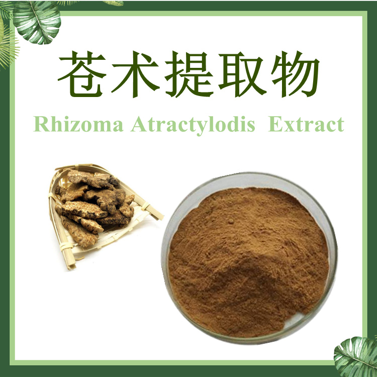 苍术提取物 赤术提取物 10:1 SC厂家 青术提取物