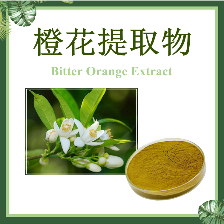 橙花提取物 10:1 玳玳花提取物 SC厂家 代代花提取物