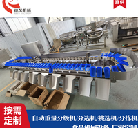 <em>食品</em>重量分选机 自动称重机 <em>食品</em>分选秤 润发