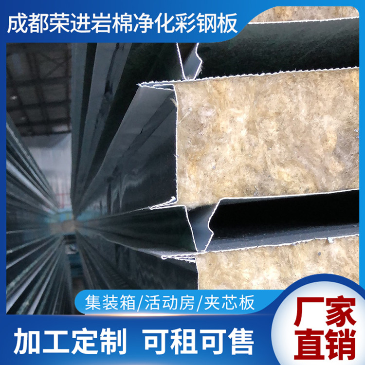 成都荣进 四川成都EPS泡沫板定制  安装施工经验丰富