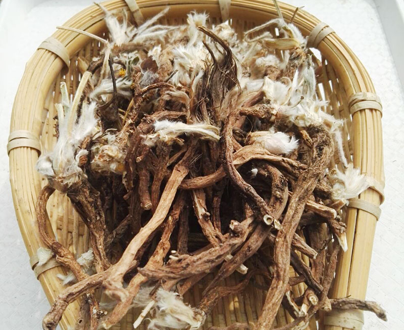 大货批发白头翁 低价批发白头翁 产地批发白头翁价格 白头翁多少钱 白头翁多少钱一克