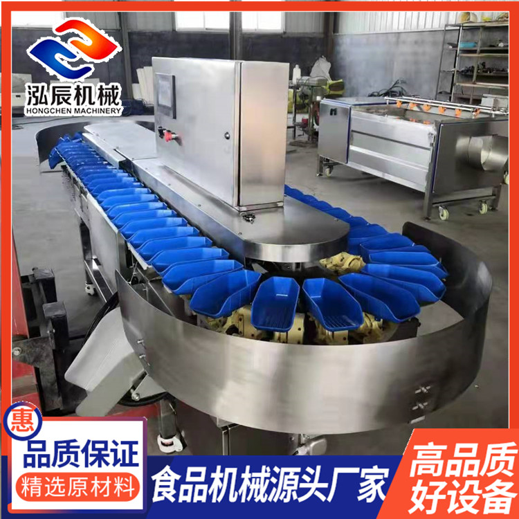 全自动重量分选机 多级重量自动分选机 小龙虾牡蛎重量分拣机 可定制多级 泓辰机械