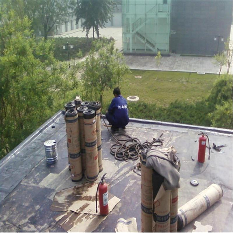 轻质砖隔墙，高庄灌浆，外墙防水补漏，外墙清洗，外墙高空作业，防水补漏，化粪池清理，外墙管道安装，外墙油漆刷，外墙喷涂 阳光普惠外墙防水补漏 服务好的 全包 施工电话 安全有保障