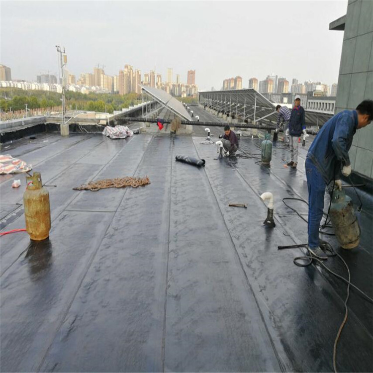 轻质砖隔墙，高庄灌浆，外墙防水补漏，外墙清洗，外墙高空作业，防水补漏，化粪池清理，外墙管道安装，外墙油漆刷，外墙喷涂 阳光普惠外墙防水补漏 专业的 10平米 施工队 价格便宜