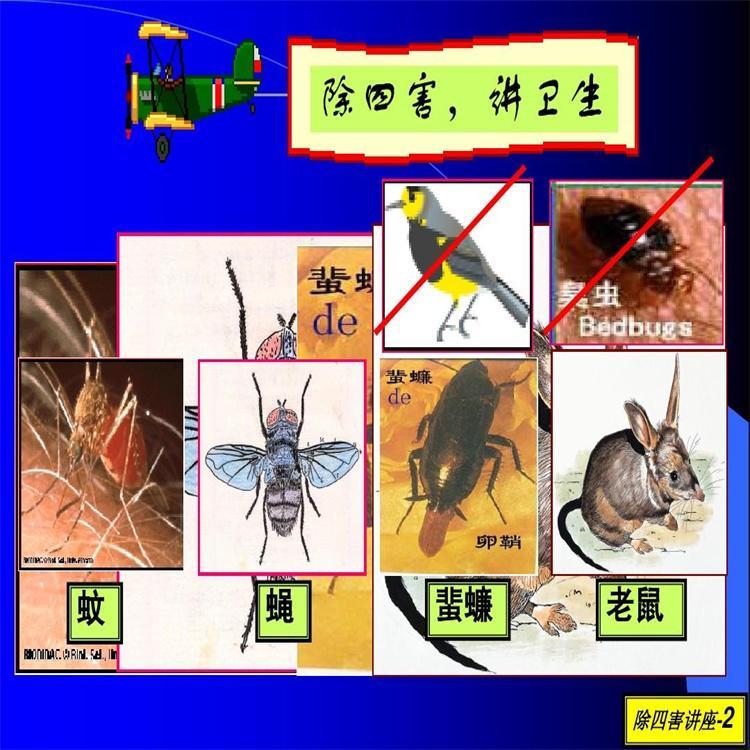 四害防治 四害防治服务 四害灭杀 四害灭治 四害消灭