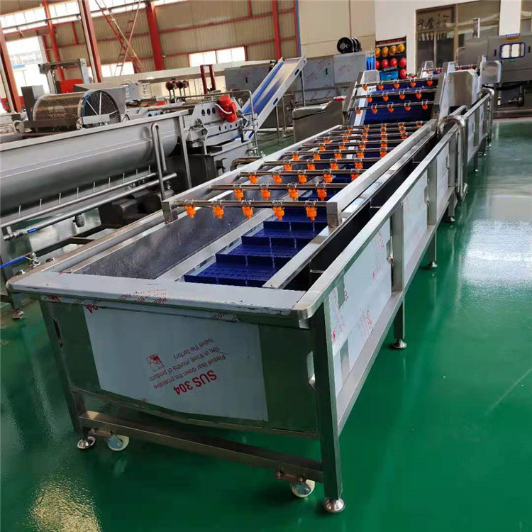 工厂用裙带菜清洗机 自动化海带清洗机械 支持定制海产品高压气泡清洗机