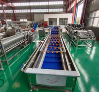 厂家供应鲜玉米清洗机 玉米加工清洗生产线 玉米棒去虫卵杂质<em>机械设备</em>