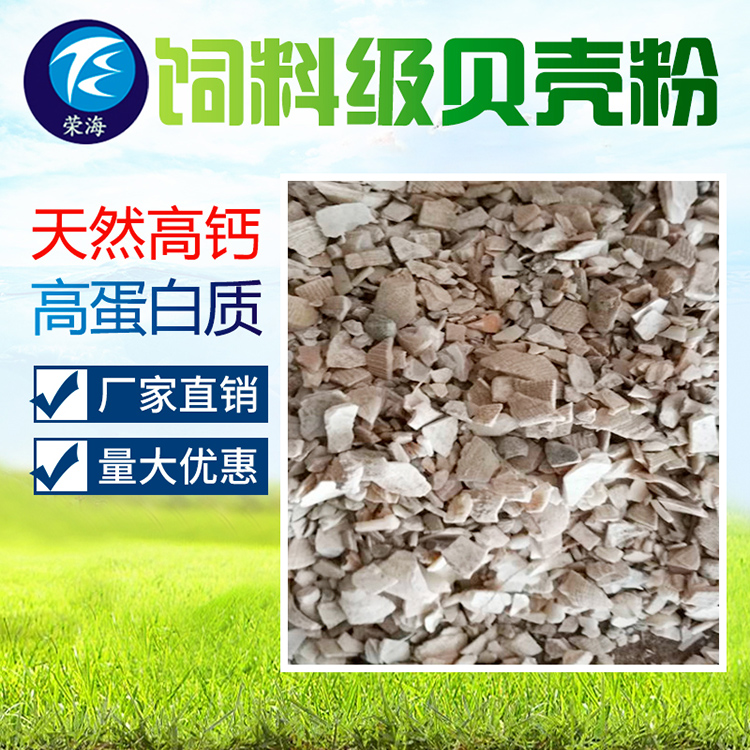 现货批发贝壳粉 养殖场宠物补充钙饲料 贝壳粉饲料 质量保障