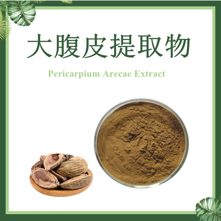 大腹皮提取物 10:1 【SC厂家】槟榔皮提取物 大腹毛提取物