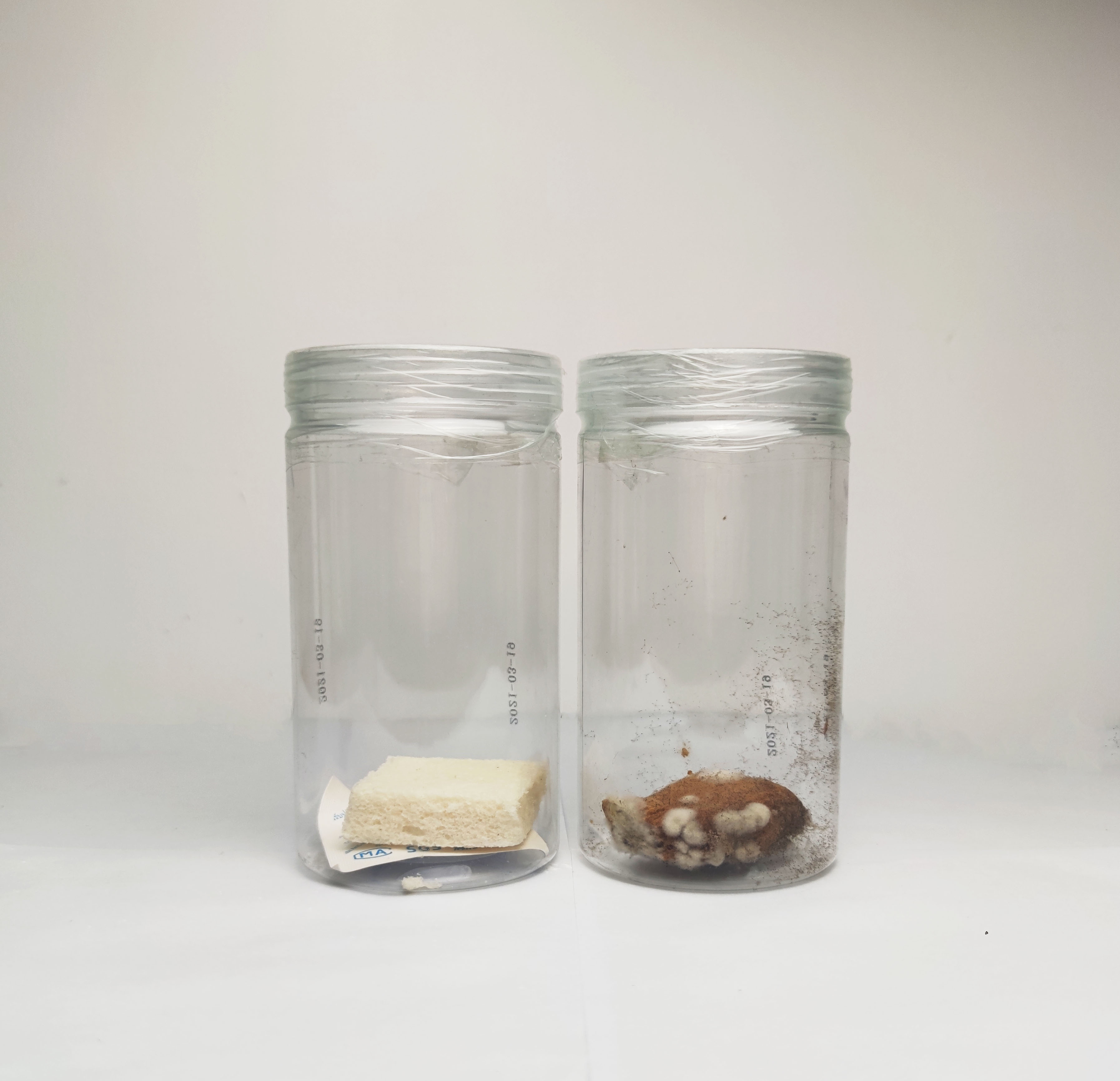 厂家现货防霉片 绿色5*5环保防霉片 鞋厂专用防霉片支持定制