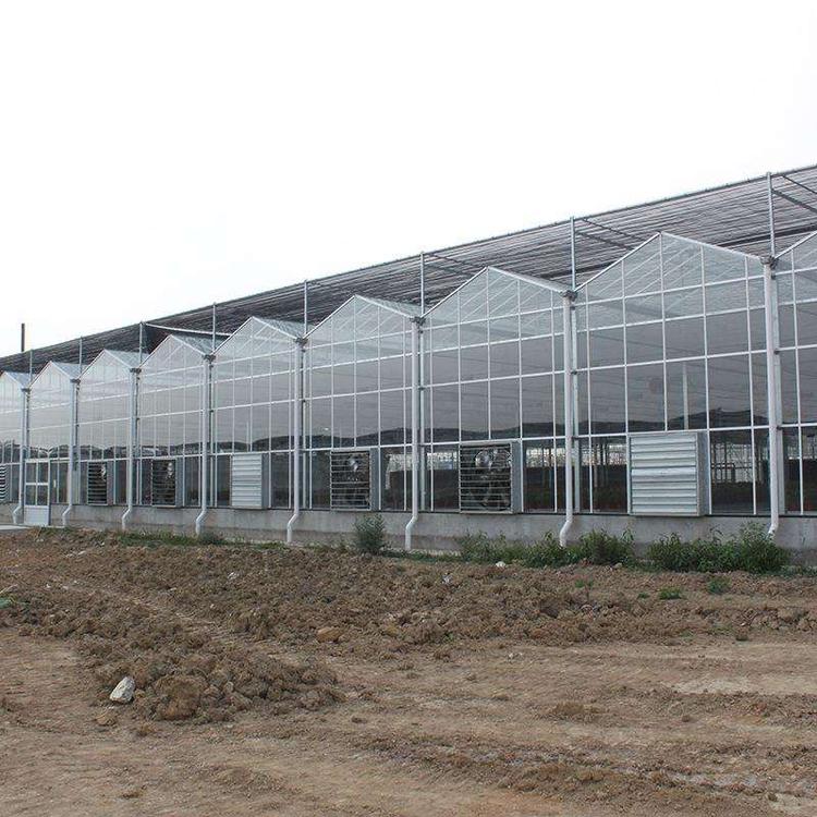 轩琪设计蔬菜玻璃温室 花卉玻璃温室建设 育苗玻璃温室造价