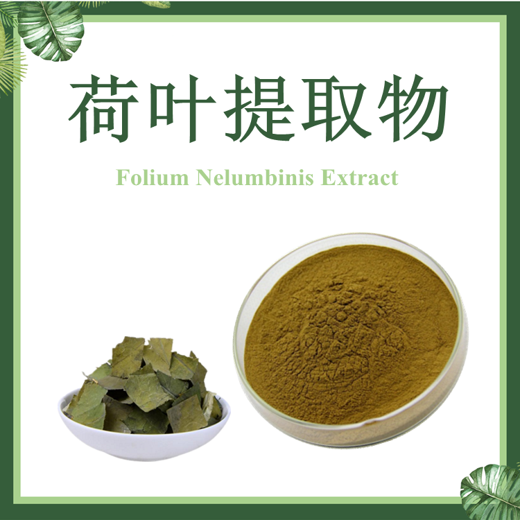 荷叶提取物 莲叶提取物 10:1【SC厂家】荷叶粉