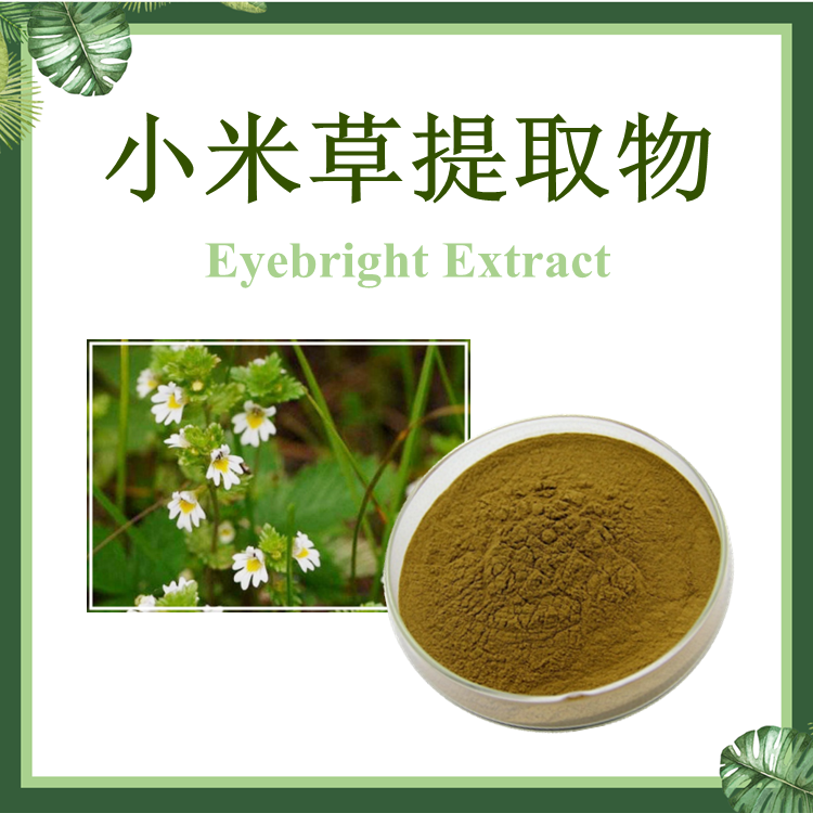小米草提取物 10:1 芒小米草提取物【SC厂家】小米草粉