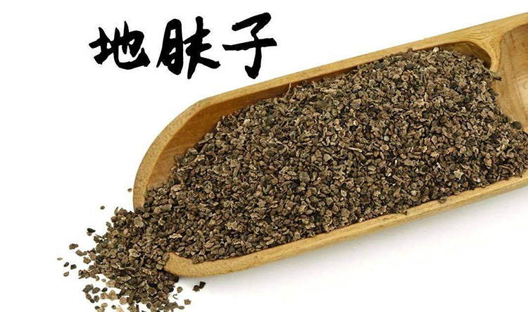 地肤子大货批发零售 地肤子正宗中药材 地肤子中药材批发大货 药都亳州中药材批发 药都亳州地肤子产地货