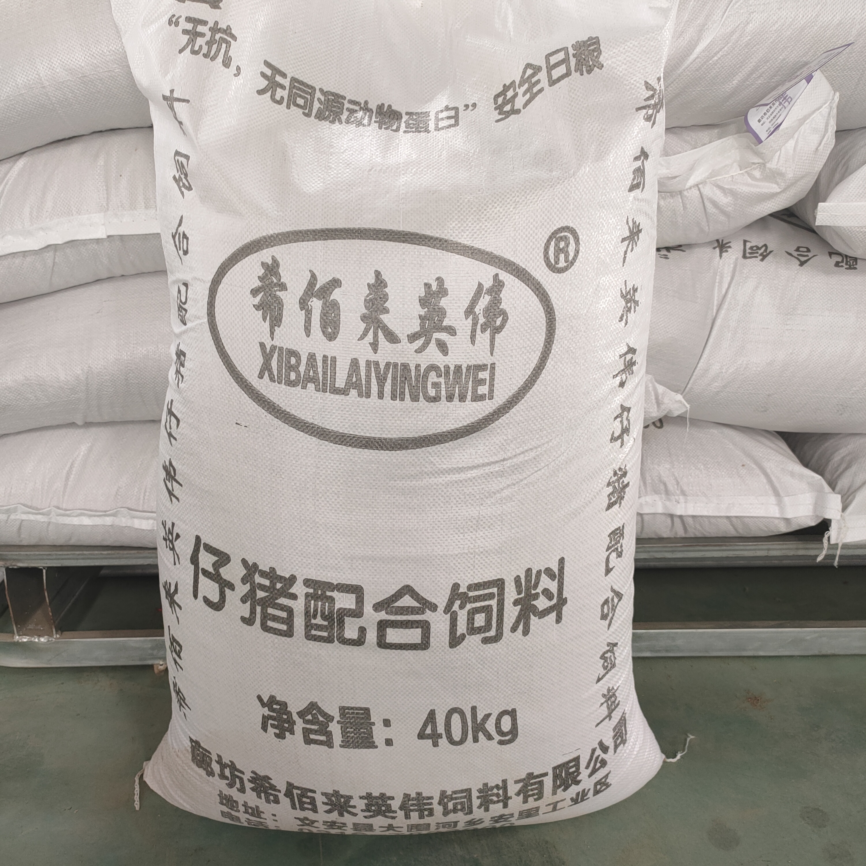 现货供应仔猪饲料 哺乳仔猪饲料 小猪用配合饲料 营养丰富