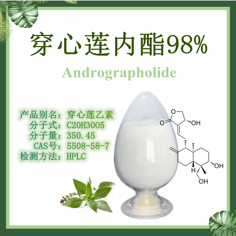穿心莲内酯98% Andrographolide 【SC厂家】穿心莲乙素 雄茸内酯