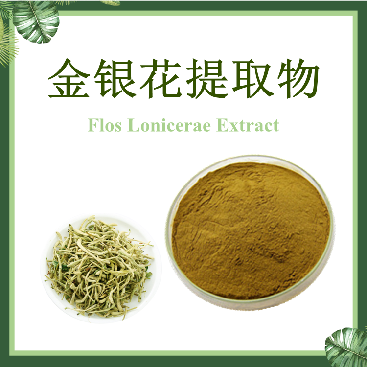 金银花提取物 忍冬提取物 【SC厂家】金银藤提取物 10：1
