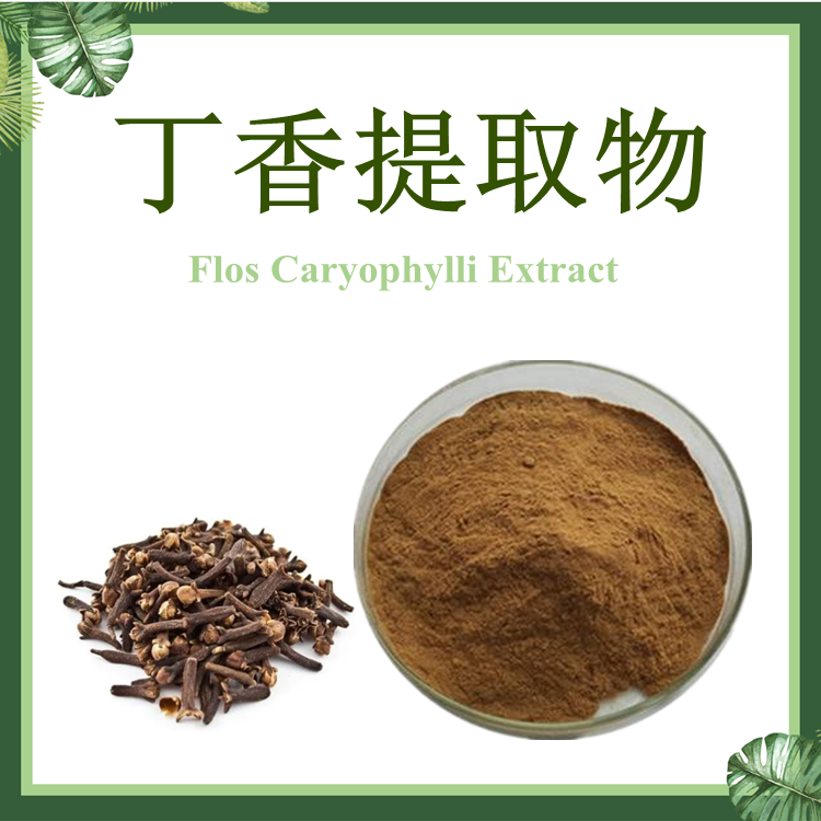 丁香提取物 10:1 洋丁香提取物 【SC厂家】百结花提取物