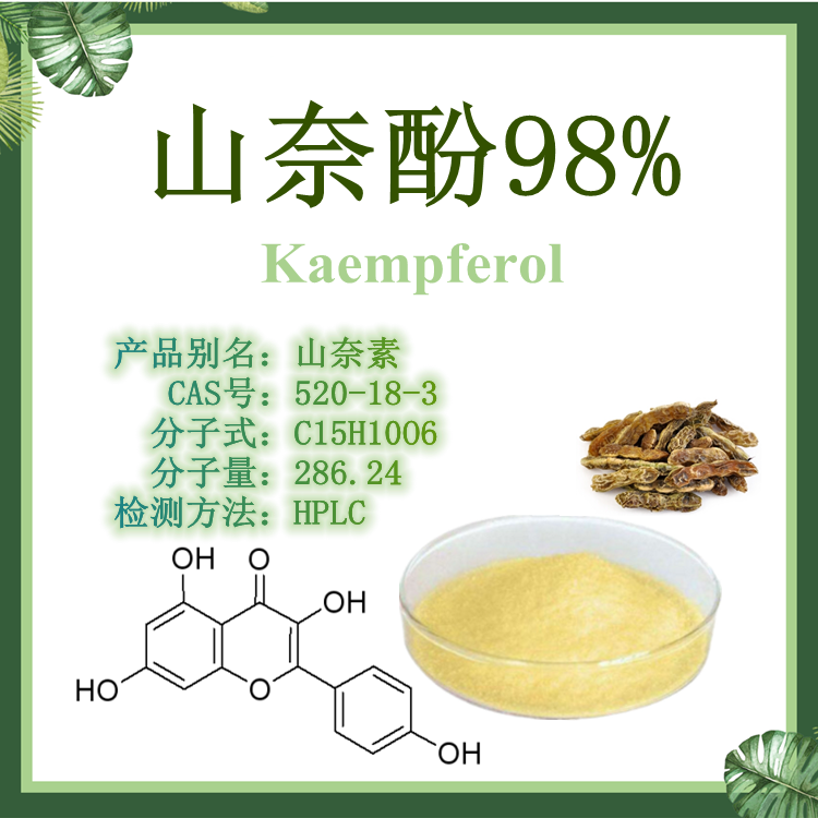 山奈酚HPLC≥98%  高纯度对照品 【SC厂家】 山柰素 莰菲醇