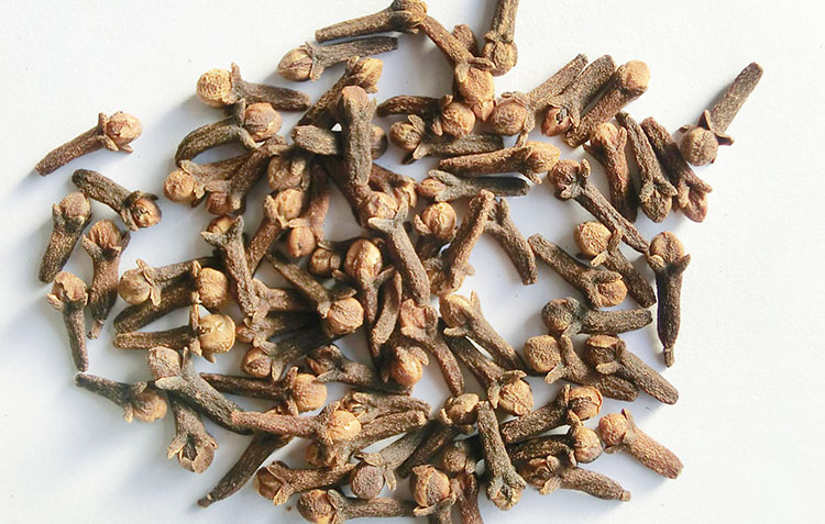 供应正规丁香产地低价批发 丁香正宗中药材 丁香大货散货 丁香中药材批发大货批发零售 丁香药都亳州中药