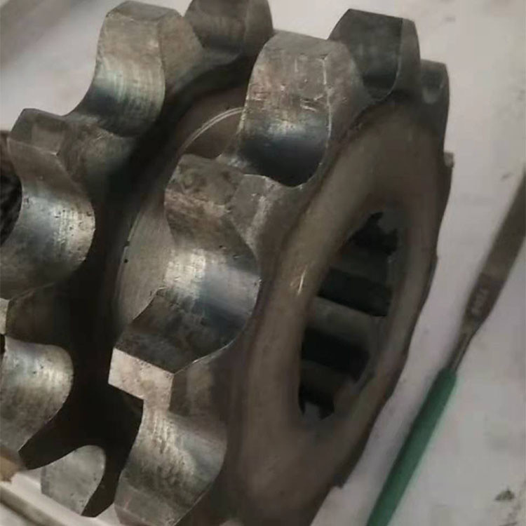齿轮链轮 304双排链轮 齿轮传动链轮 矿用输送链齿轮