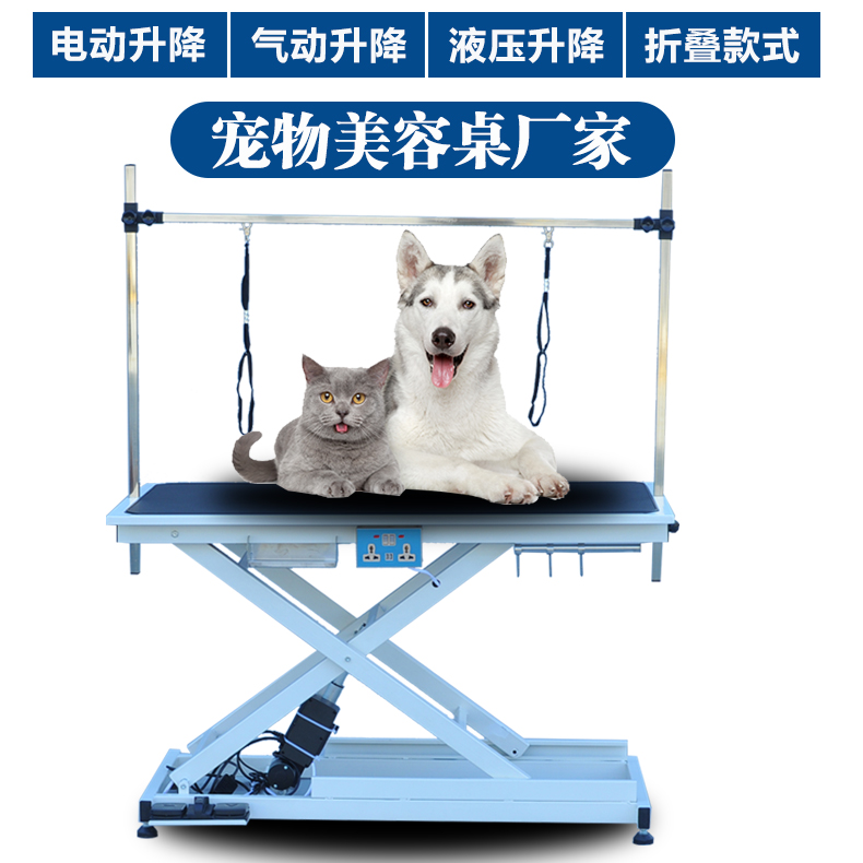 丽泽宠物用电动升降美容桌宠物店用猫咪狗狗吹风造型美容台