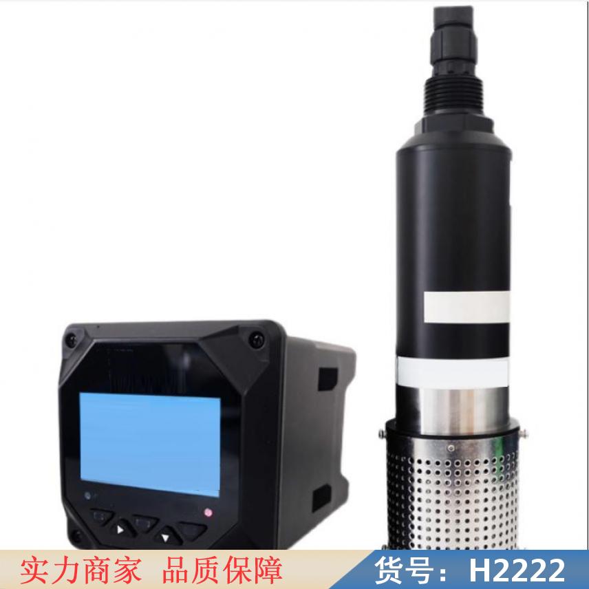 慧采溶氧仪测试仪 工业在线溶氧仪 鱼塘溶氧仪货号H2222