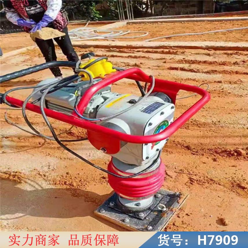 慧采  货号H7909