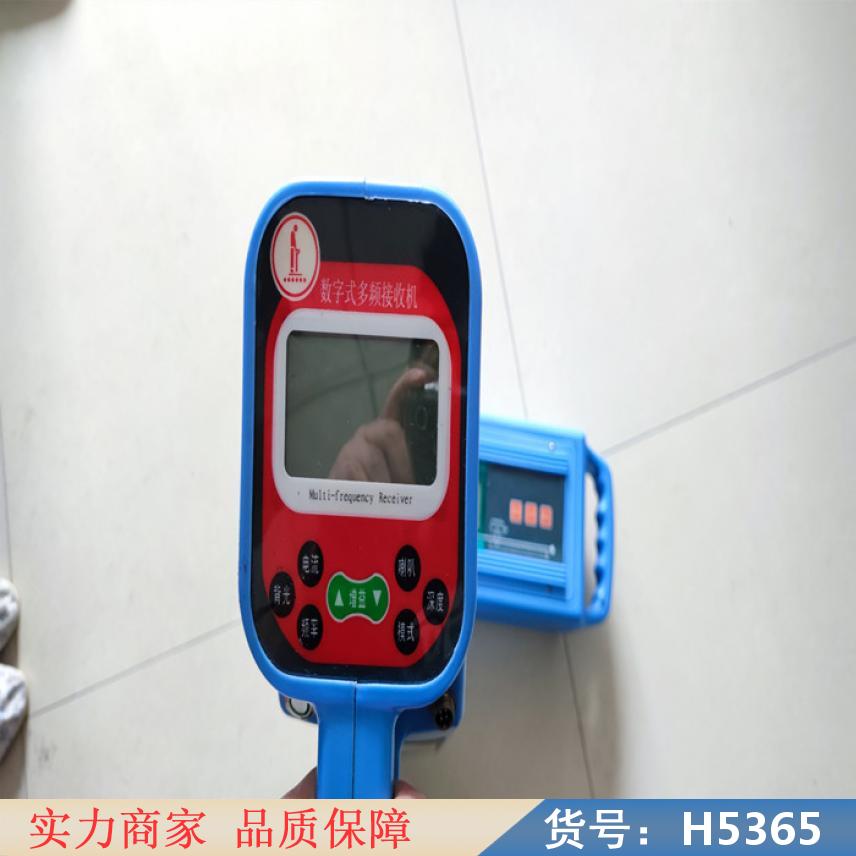 智众地埋管线探测仪 小型地下金属探测仪 综合地下管线探测仪货号H5365