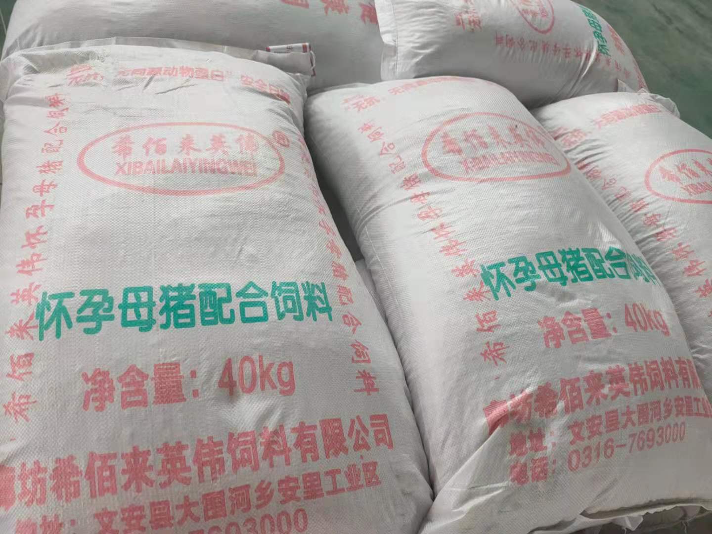 长期供应怀孕母猪预混料 母猪怀孕期饲料 怀孕母猪预混料 按时发货