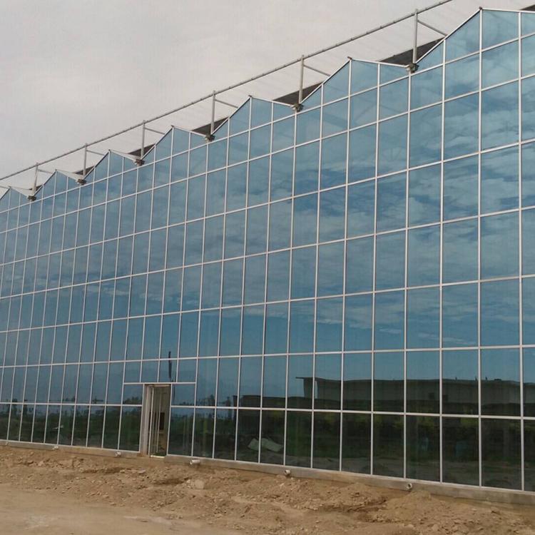 连栋玻璃温室建造商 轩琪承建连栋玻璃温室 欢迎来电