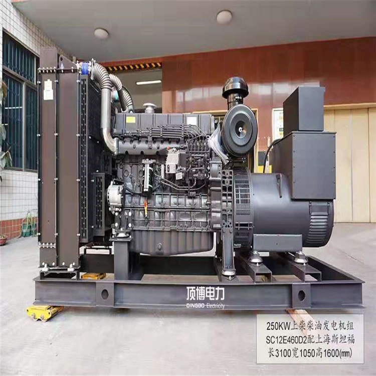 250KW上柴柴油发电机组 柴油发电机组租赁