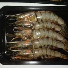 鲜虾真空贴体皮肤包装盒 大虾海鲜产品真空贴体皮肤包装膜  厂家定制