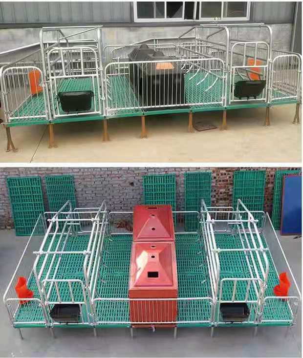 厂家出售双体母猪分娩床 仔猪保育栏 热镀锌材质养猪定为栏