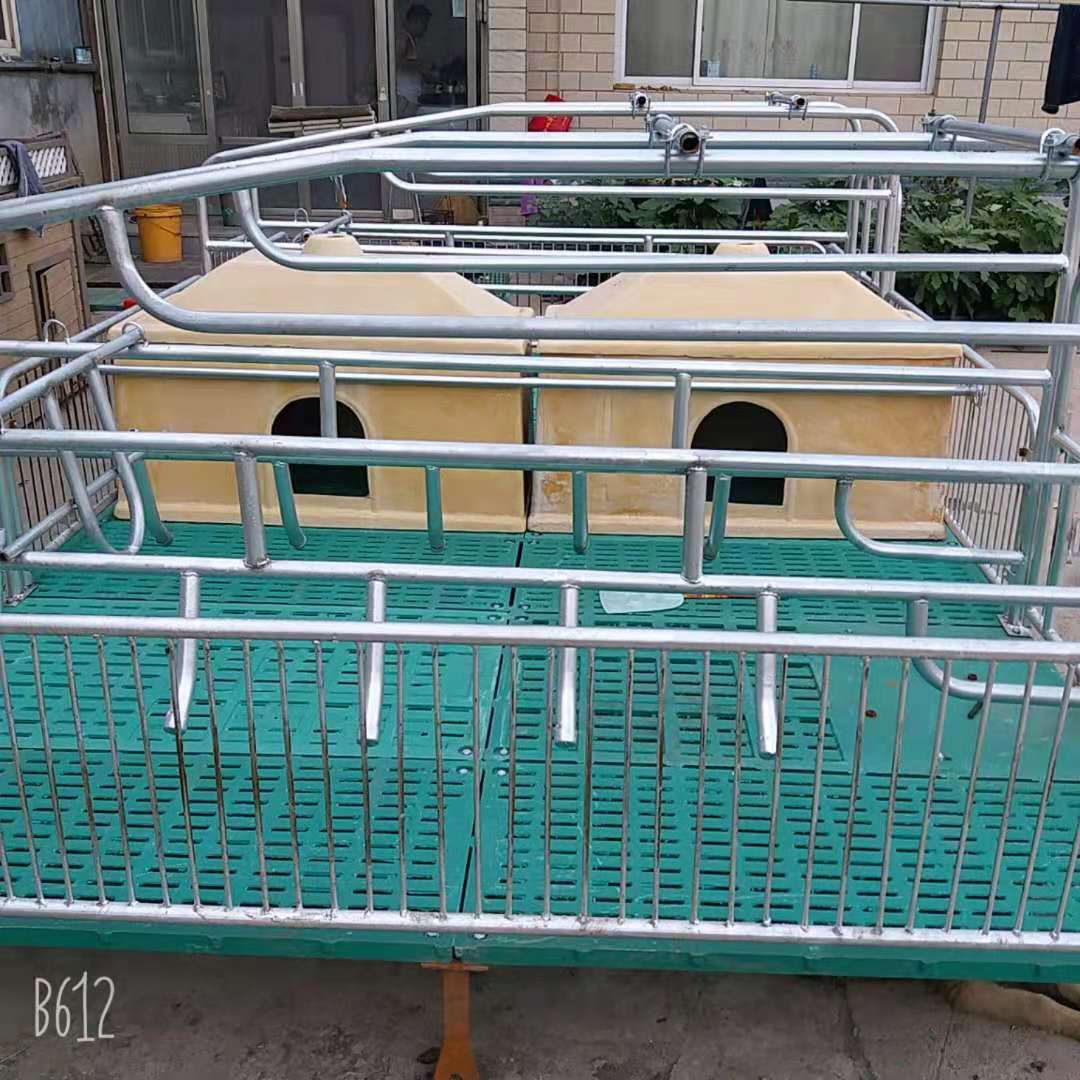 常年供应母猪分娩床 仔猪保育床 复合板母猪定为栏欢迎订购