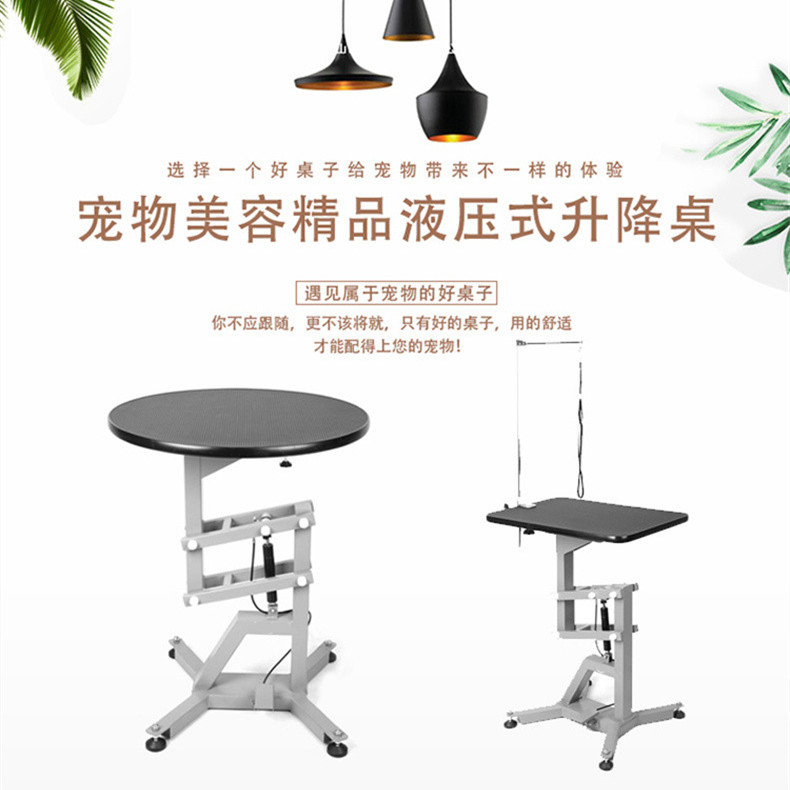 丽泽气动升降美容桌lzgt-401，培训学校 宠物店 家用都适合