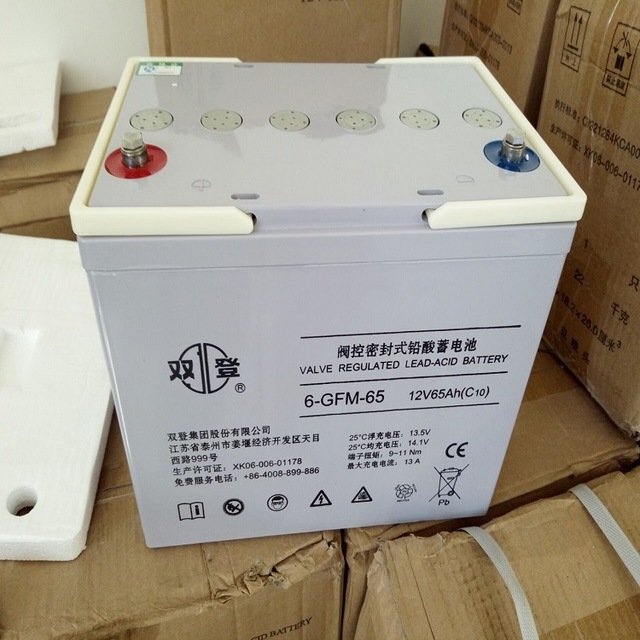 江苏双登蓄电池2v800ah价格 绍兴双登电池6-GFM-200代理商现货 双登厂家 