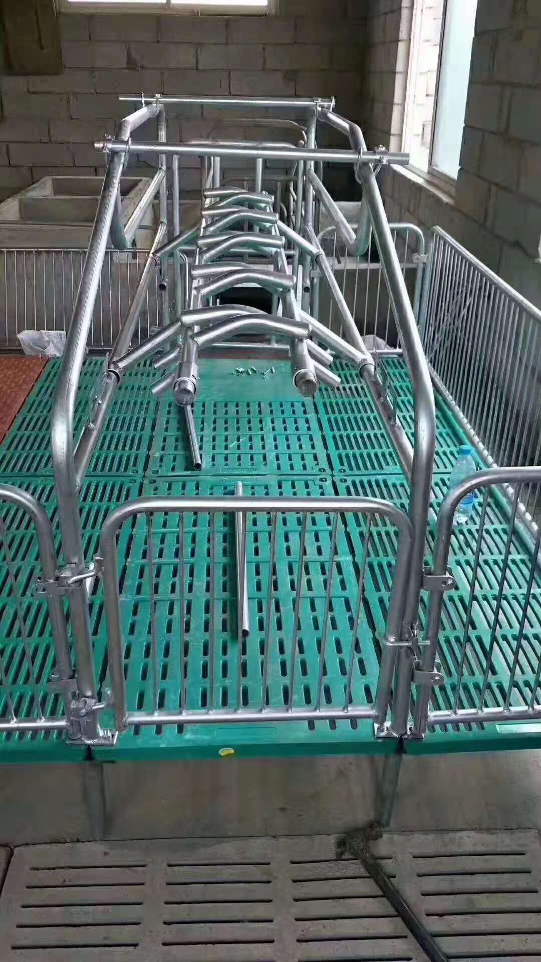 厂家出售母猪产床仔猪保育床 全复合板母猪分娩床养猪设备