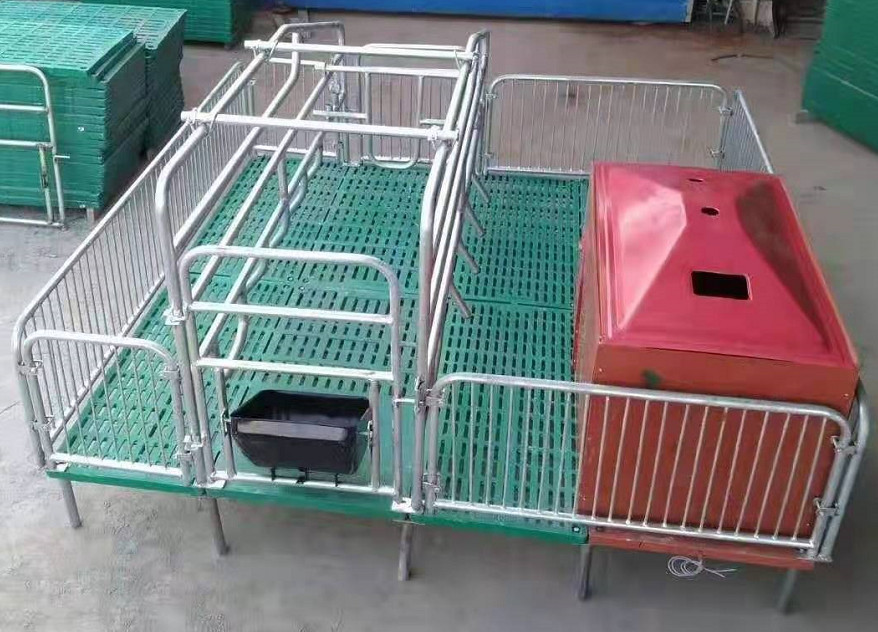 养猪畜牧设备复合漏粪板母猪产床 复合双体母猪产床 养猪设备