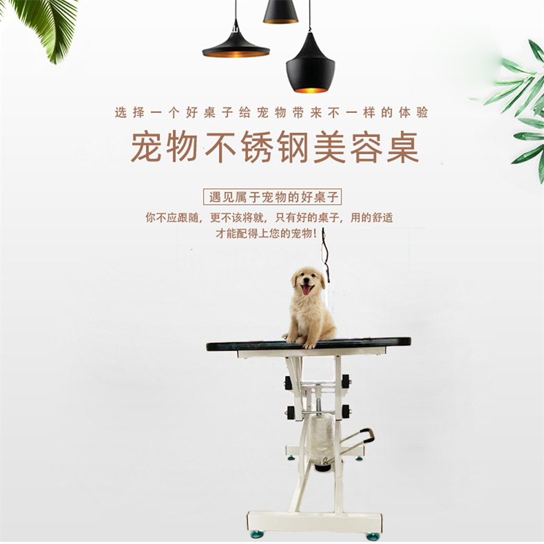 丽泽丽泽宠物专用液压升降美容桌大型宠物升降美容桌剪毛美容台