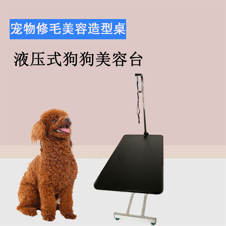 丽泽不锈钢吊杆 防滑桌面 大号狗美容台升降桌美容桌方桌