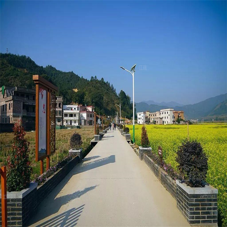 公路绿化用苗木出售 街道绿化苗木供应商 江瑞园艺道路绿化施工与设计